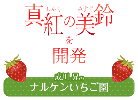 「真紅の美鈴」を開発